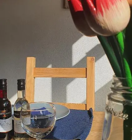 'heerlijk Zomerhuis Vlakbij En Duinen' * Egmond aan Zee