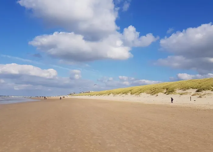 'heerlijk Zomerhuis Vlakbij En Duinen' Nyaraló *