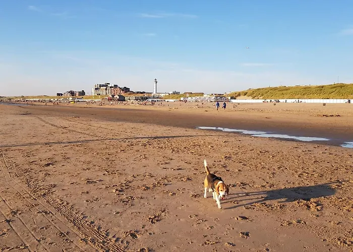 Vakantiehuis 'heerlijk Zomerhuis Vlakbij En Duinen'