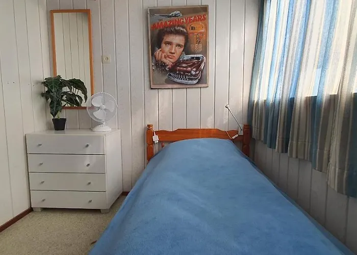 'heerlijk Zomerhuis Vlakbij En Duinen'