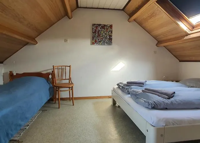 'heerlijk Zomerhuis Vlakbij En Duinen' *