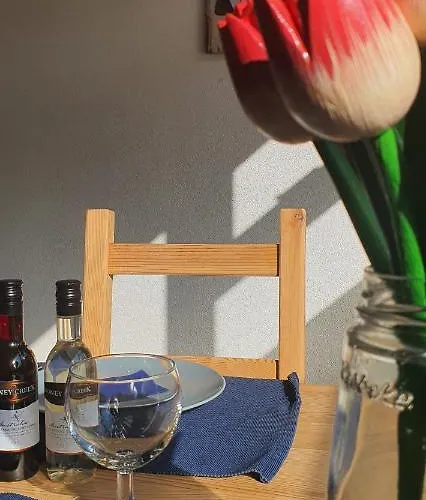 'heerlijk Zomerhuis Vlakbij En Duinen' * Egmond aan Zee