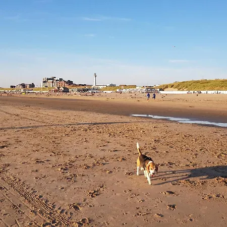 Dom wakacyjny 'heerlijk Zomerhuis Vlakbij En Duinen'