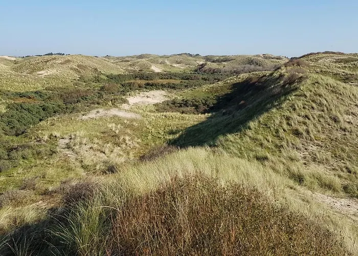 'heerlijk Zomerhuis Vlakbij En Duinen' Nyaraló