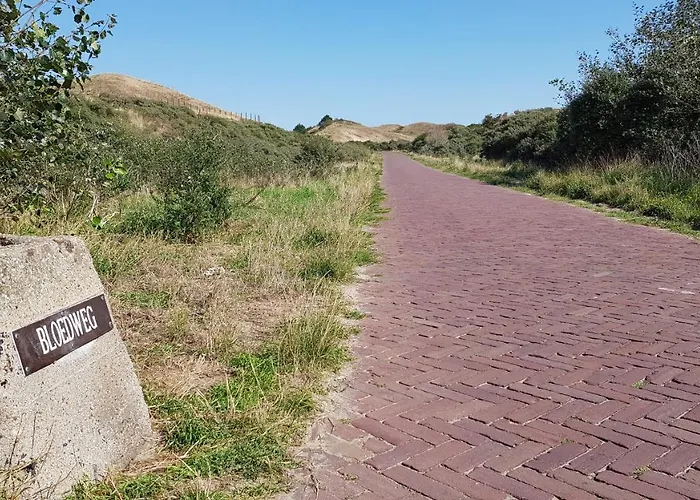 Nyaraló 'heerlijk Zomerhuis Vlakbij En Duinen' *